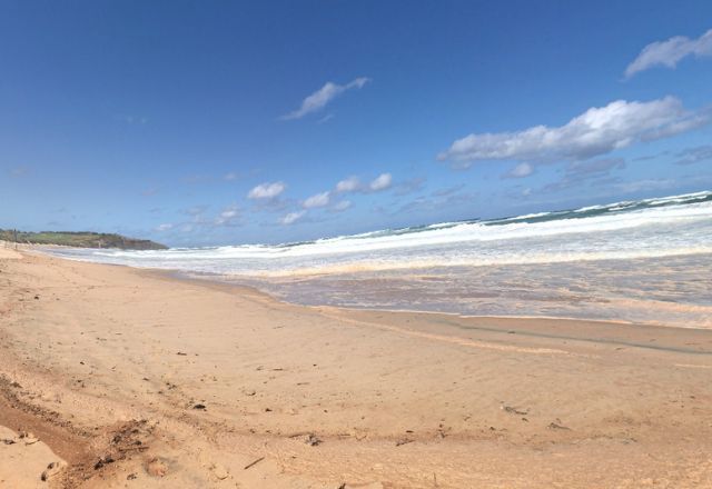 Praia de Long Reef, em Sidney, na Austrália | Foto: Reprodução/Google Street View