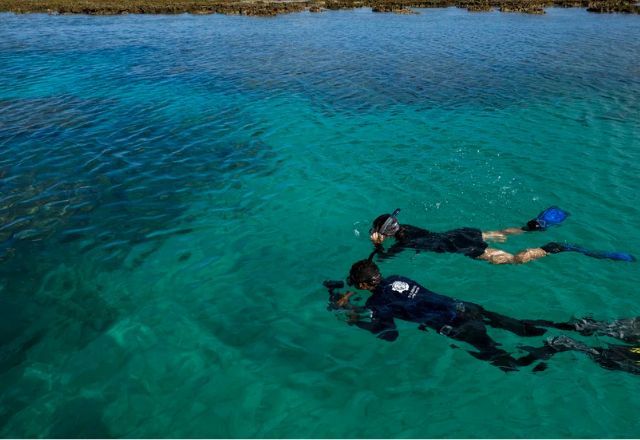 Homem morre após mergulho de 62 metros em ponto turístico de Fernando de Noronha 