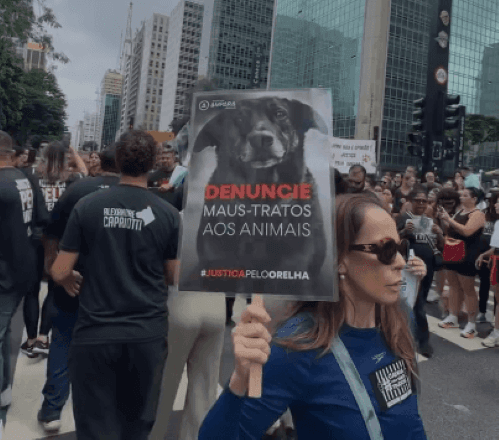 Ato na Avenida Paulista, em São Paulo, para pedir justiça pela morte do cão Orelha | Reprodução/Redes Sociais
