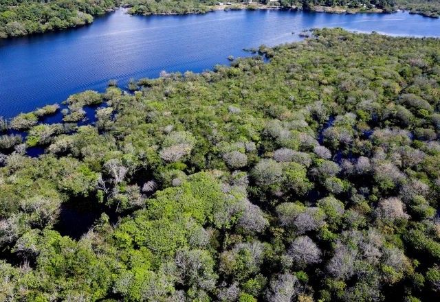 O governo estima que Restaura Amazônia possa chegar a 945 assentamentos, beneficiando mais de 200 mil famílias em 210 municípios | Divulgação/Agência Brasil