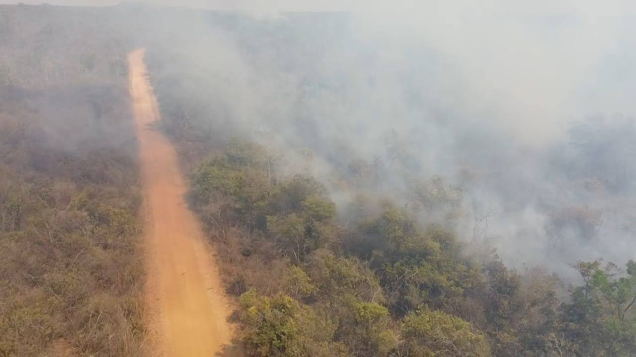 Aplicação de multas é voltada para restaurar e conter atividades criminosas ligadas a incêndios | Divulgação/ICMBIO