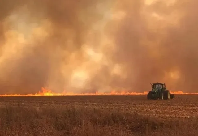 São Paulo lidera o ranking com o maior número de decretos de emergência para incêndios em agosto | Divulgação/governo SP