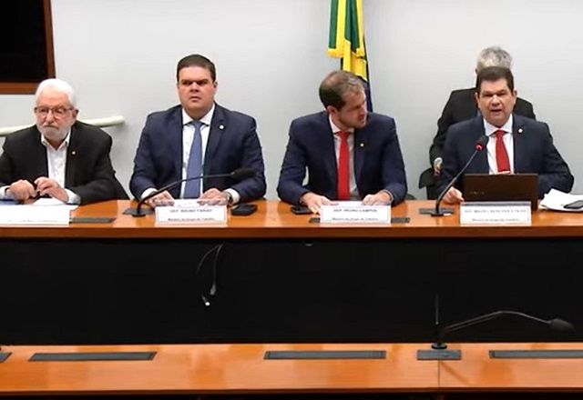 O grupo marcou uma audiência pública para a próxima terça-feira (4) para ouvir integrantes das três esferas de governo | Reprodução/TV Câmara