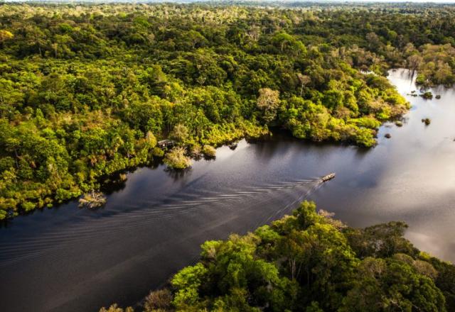 rio amazonas