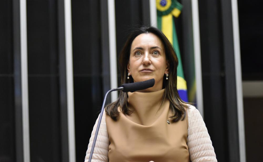 Zeca Ribeiro/Câmara dos Deputados