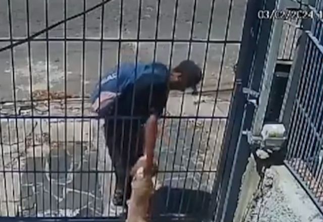 Cachorro é roubado por criminoso em Porto Alegre; veja vídeo