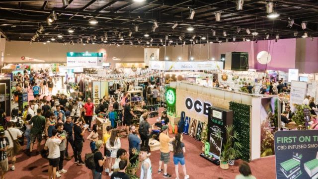 São Paulo recebe maior feira de cannabis da América Latina até este domingo (17) São Paulo recebe maior feira de cannabis da América Latina até este domingo (17)