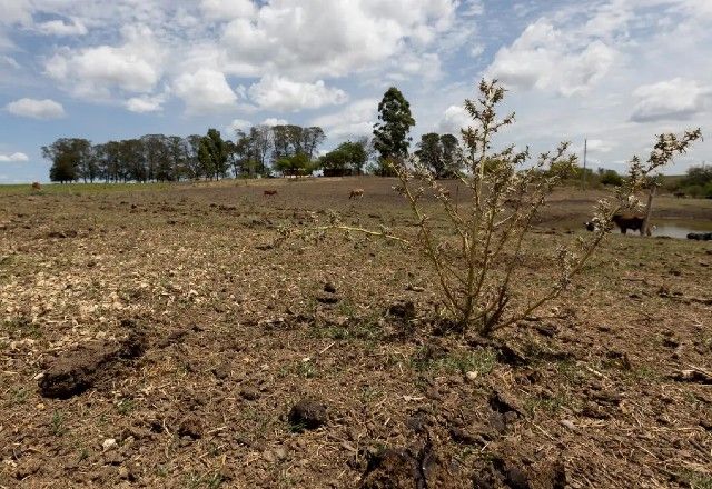 Mais de 200 municípios decretam emergência por causa da estiagem no RS