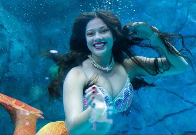 Um encontro com a sereia no Aquário de São Paulo Um encontro com a sereia no Aquário de São Paulo