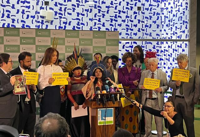 sonia guajajara no salão verde