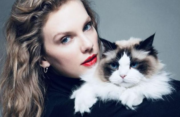 Taylor Swift anuncia voto em Kamala ao lado de um gato, com indireta a vice de Trump. | Reprodução/Redes Sociais