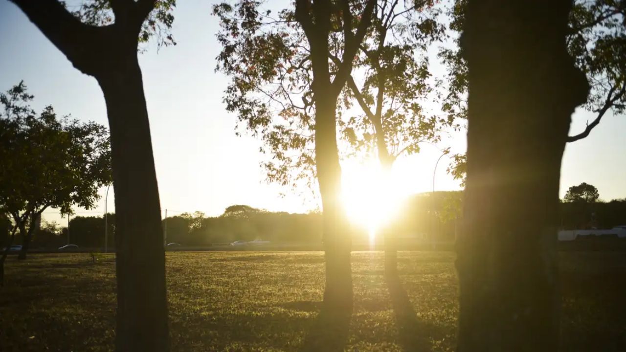 Imagem da notícia: Frio no Sul e tempo seco em outras áreas: veja a previsão Imagem da notícia: Frio no Sul e tempo seco em outras áreas: veja a previsão