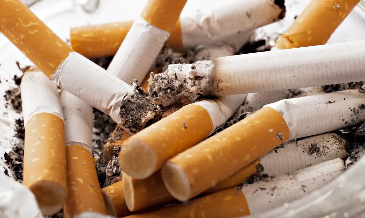 Foto: Reprodução/Pixabay
