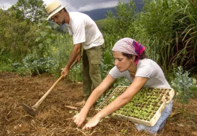 trabalhadores rurais