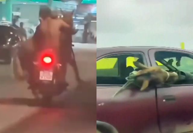 Cavalos são flagrados sendo transportados no Rio de Janeiro | Reprodução/ Redes sociais