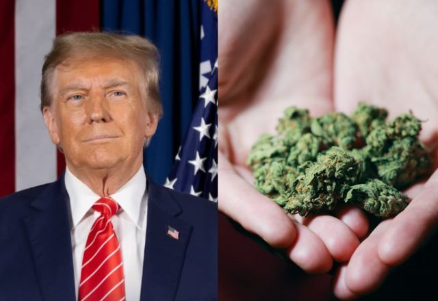Trump assina medida que classifica maconha como droga "menos perigosa" | Reprodução
