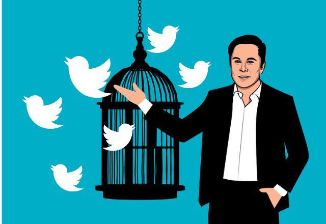 twitter elon musk gaiola