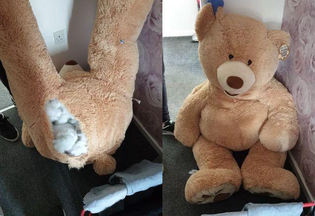 urso de pelucia gigante onde assaltante estava escondido