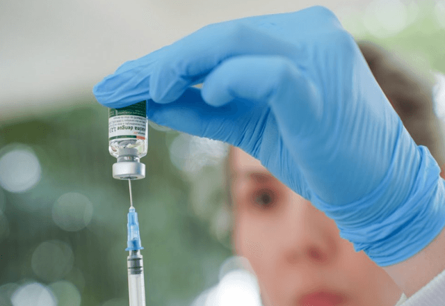 Imagem da notícia: Vacina da dengue suspensa: tomei o imunizante, e agora? Imagem da notícia: Vacina da dengue suspensa: tomei o imunizante, e agora?