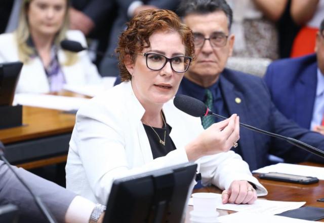 Carla Zambelli (PL-SP) em comissão no Congresso | Câmara dos Deputados
