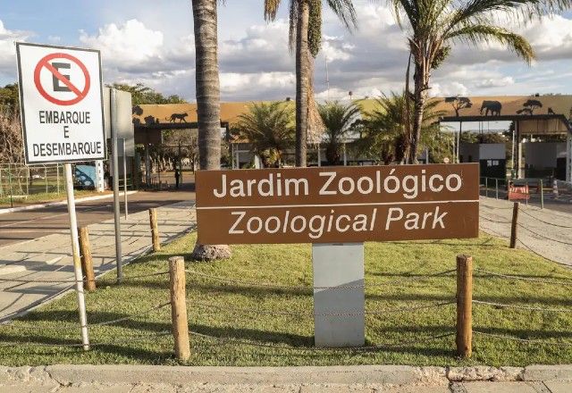 Caso de gripe aviária é confirmado no Zoológico de Brasília